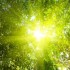 sunlight