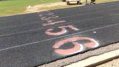 Cross Country: Are They Ready?