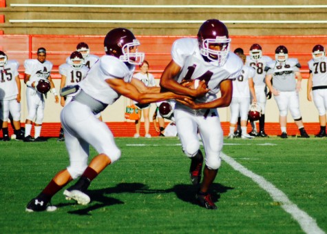 Cougars on the Attack