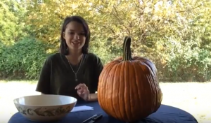Becky Robnett hosts a pumpkin carving tutorial.