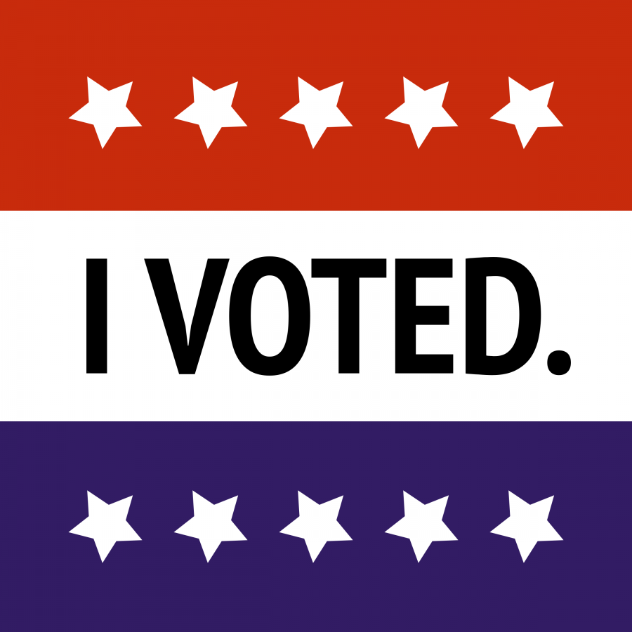 I-Voted-2014110356