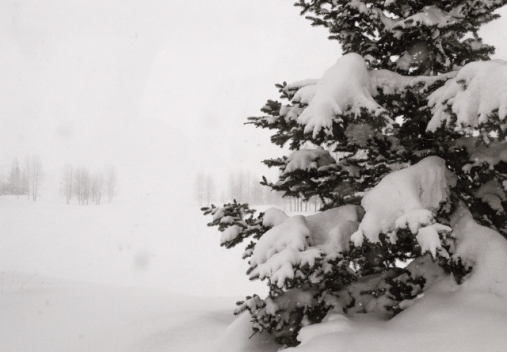 Crested Butte, Colorado - Winter