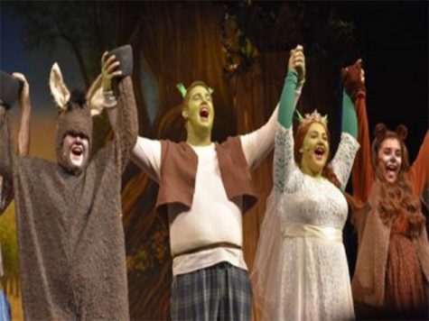 Shrek The Musical does not disappoint