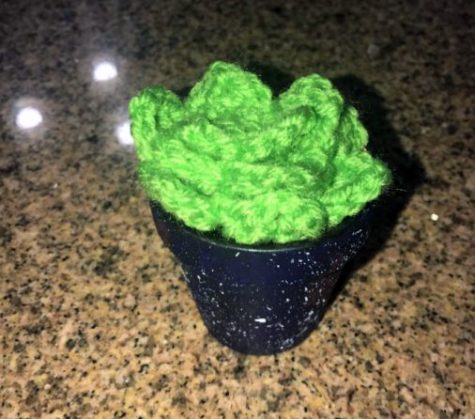 Crochet How-To: Crochet Succulent