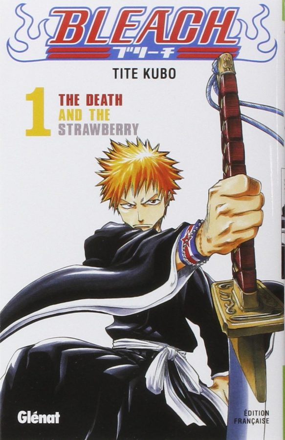 the picture shows ichigo as a soul reaper