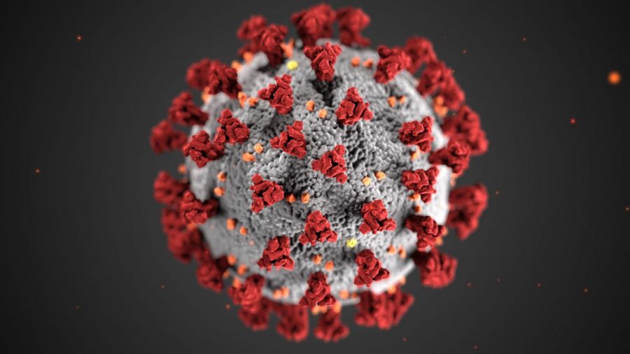 Covid vaccine becomes available to local citizens